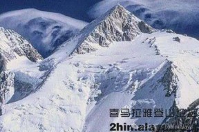 乐动官网平台 -今晨体能课后，新奥尔良鹈鹕豪取连胜备战足总杯，气氛紧张，团队化学反应显著(体适能课后点评给学员)