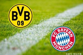 乐动官网平台 - 参加比赛的心得体会简短 