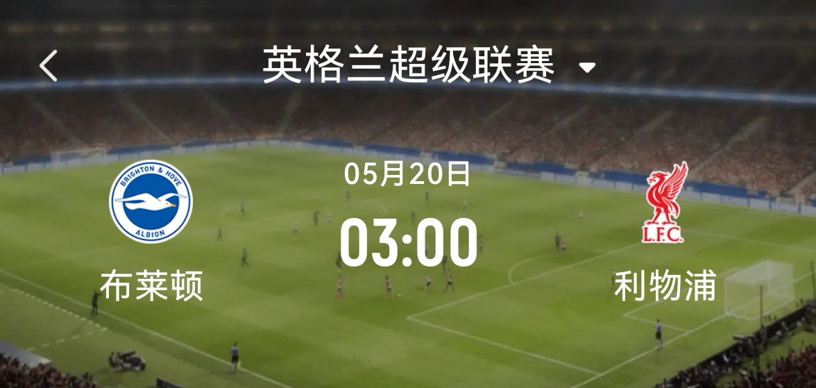 包含布莱顿迎西甲关键赛，赛后伤情更新，悬念犹存，高层口径保持一致的词条
